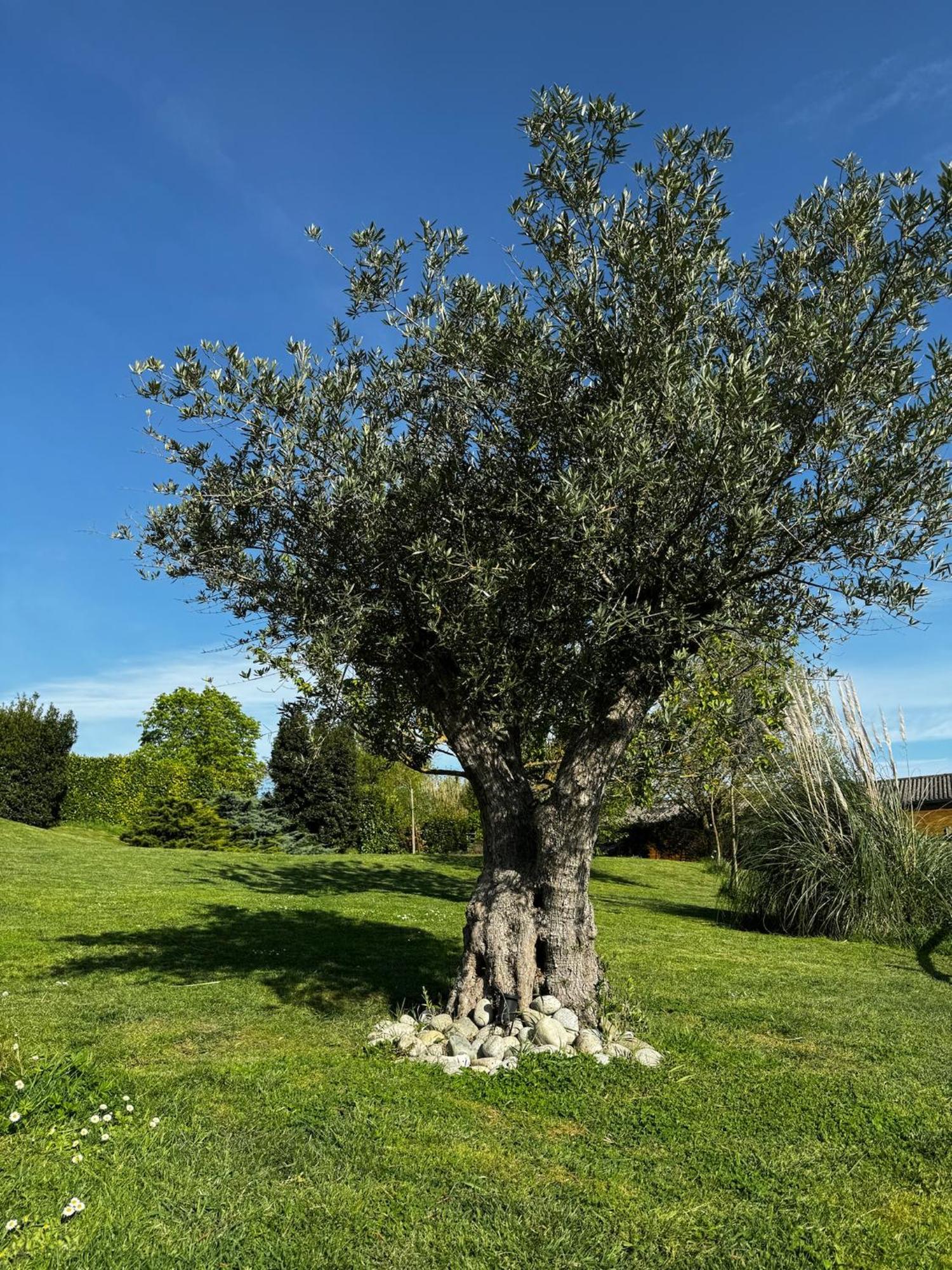 Domaine Horizon Villa Toulouse Exterior photo